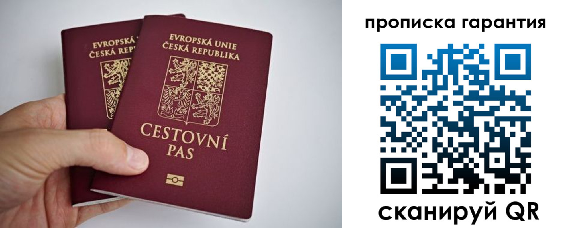 прописка в Новоузенске